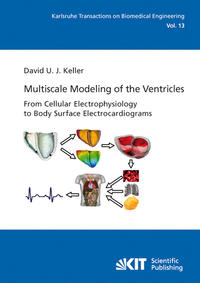 Vorderes Coverbild Multiscale Modeling of the Ventricles: From Cellular Electrophysiology to Body Surface Electrocardiograms
