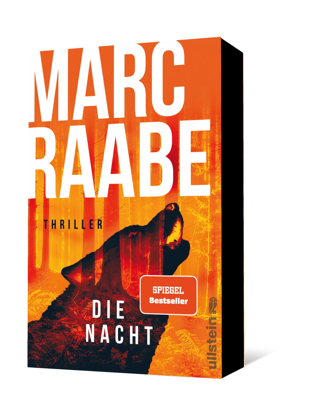 Anderes Coverbild Die Nacht (Art Mayer-Serie 3)