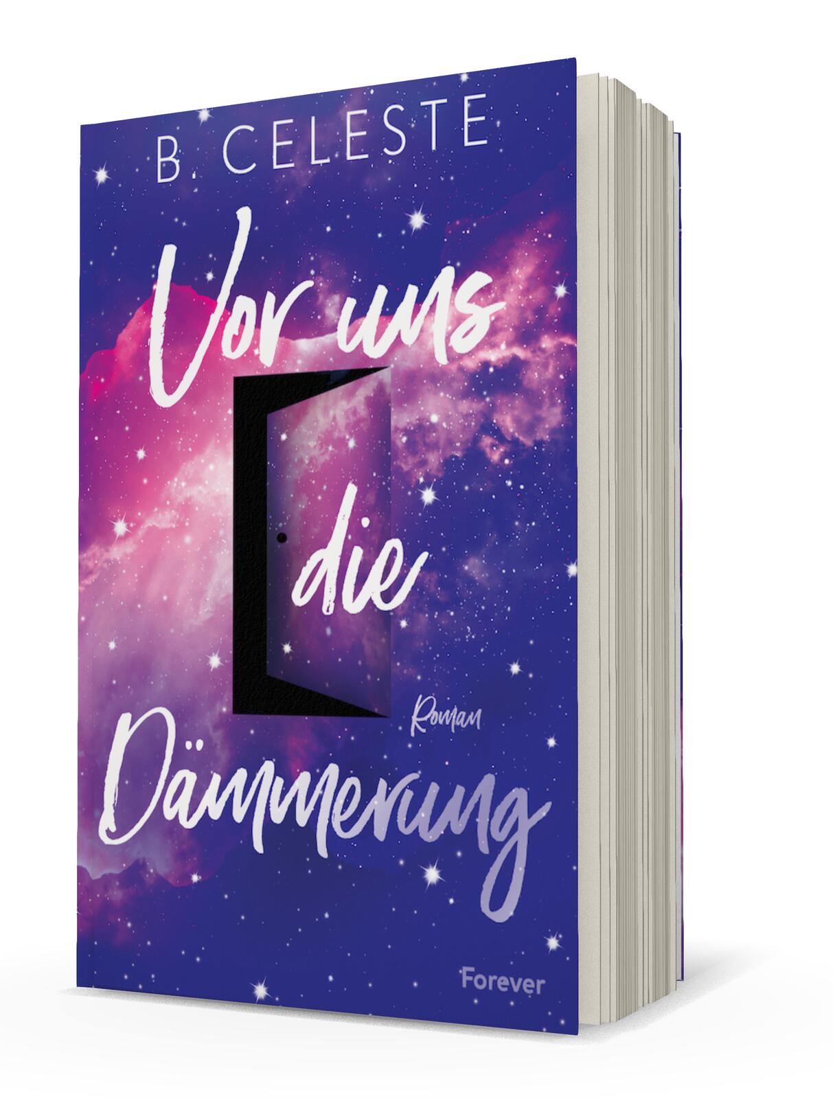 Anderes Coverbild Vor uns die Dämmerung