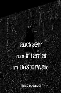 Vorderes Coverbild Rückkehr zum Internat im Düsterwald