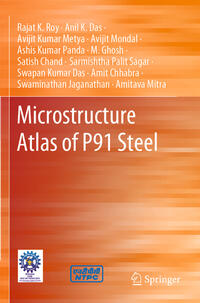 Vorderes Coverbild Microstructure Atlas of P91 Steel