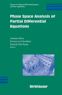 Vorderes Coverbild Phase Space Analysis of Partial Differential Equations