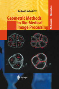 Vorderes Coverbild Geometric Methods in Bio-Medical Image Processing