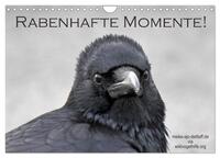 Vorderes Coverbild Rabenhafte Momente! (Wandkalender 2025 DIN A4 quer), CALVENDO Monatskalender