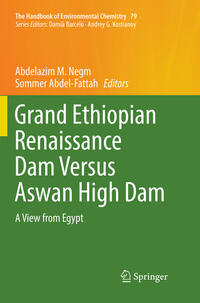 Vorderes Coverbild Grand Ethiopian Renaissance Dam Versus Aswan High Dam