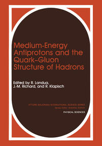 Vorderes Coverbild Medium-Energy Antiprotons and the Quark—Gluon Structure of Hadrons