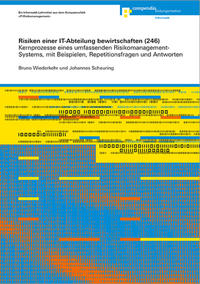 Vorderes Coverbild Risiken einer IT-Abteilung bewirtschaften (246)