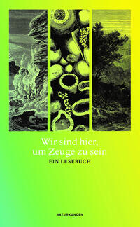 Vorderes Coverbild Wir sind hier, um Zeuge zu sein