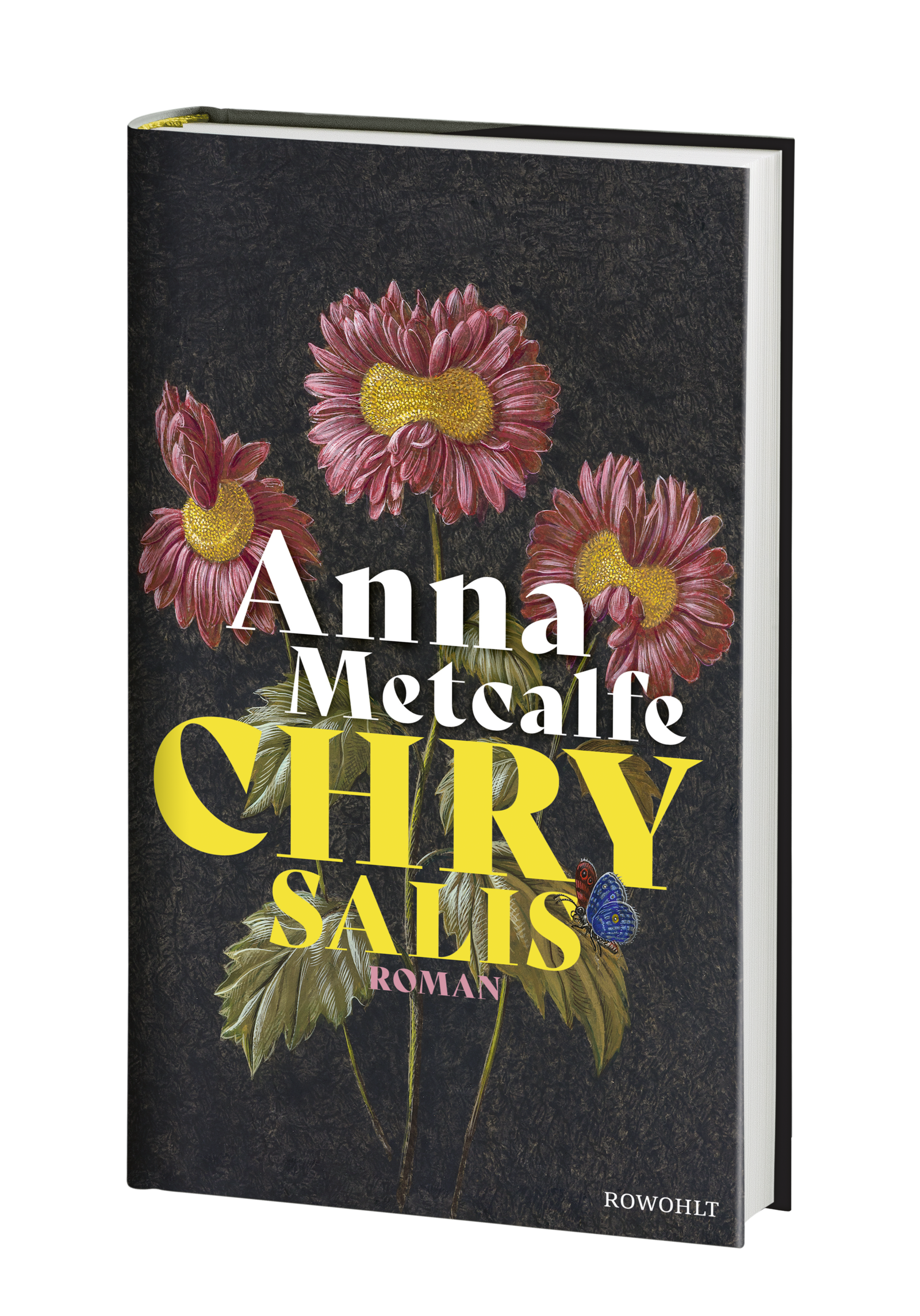 Anderes Coverbild Chrysalis