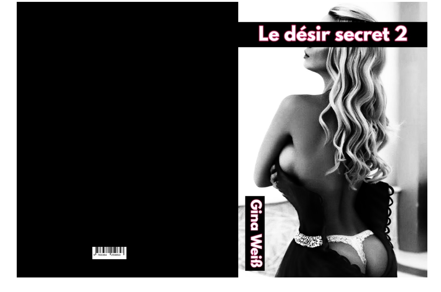 Gesamtes Coverbild Le désir secret 2