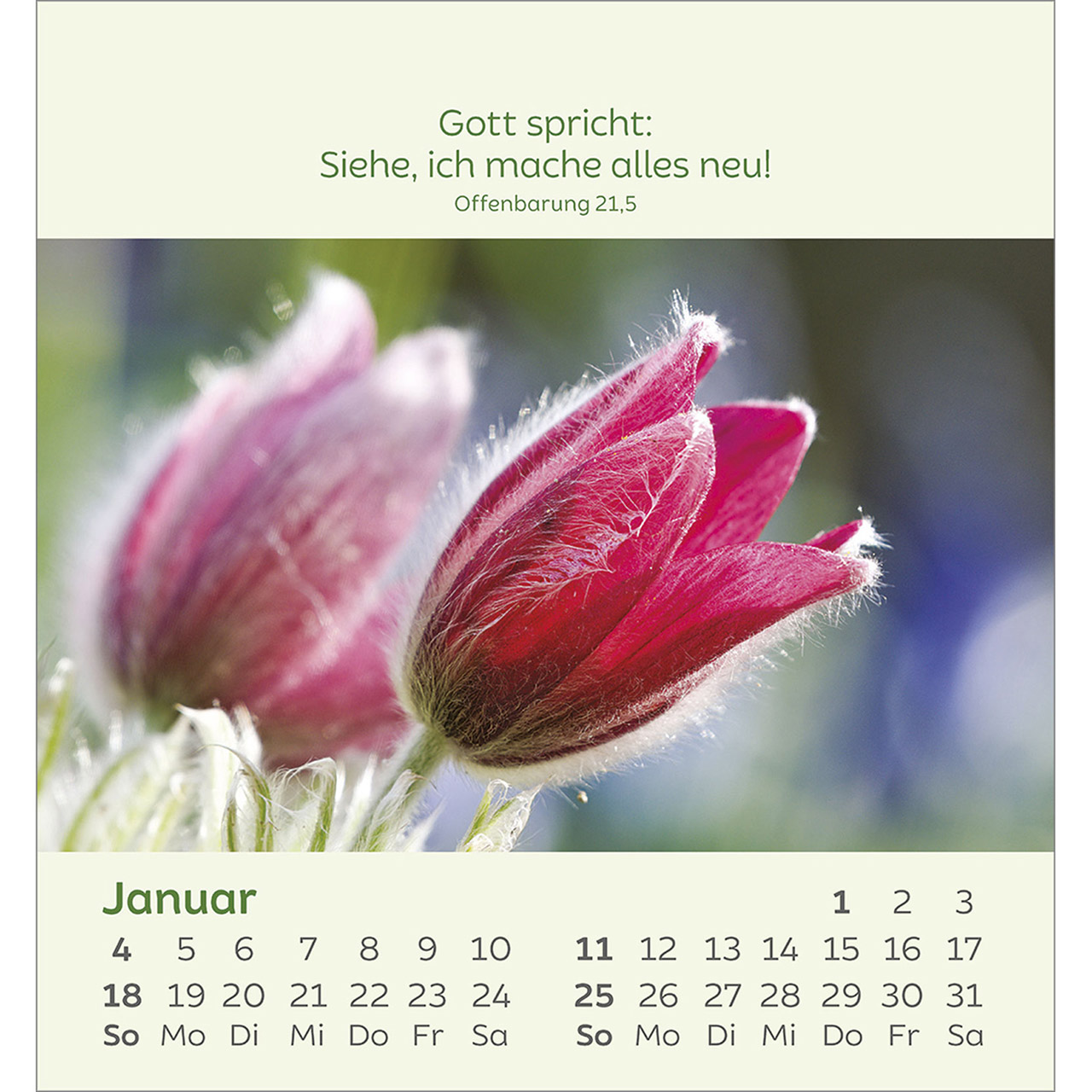 Beispielinhalt (Bild) Kleine Blumengrüße 2026
