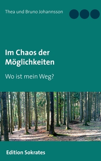 Vorderes Coverbild Im Chaos der Möglichkeiten