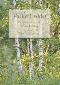 Vorderes Coverbild Vackert väder