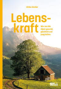 Vorderes Coverbild Lebenskraft