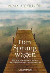 Vorderes Coverbild Den Sprung wagen