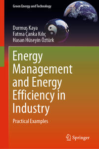 Vorderes Coverbild Energy Management and Energy Efficiency in Industry