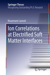 Vorderes Coverbild Ion Correlations at Electrified Soft Matter Interfaces