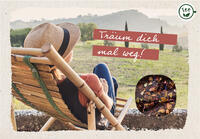 Vorderes Coverbild Träum dich mal weg!