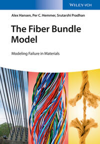 Vorderes Coverbild The Fiber Bundle Model