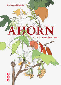 Vorderes Coverbild Ahorn