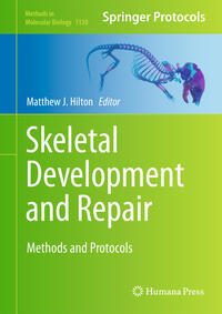 Vorderes Coverbild Skeletal Development and Repair