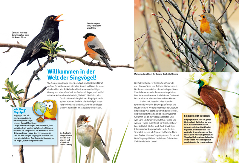 Beispielinhalt (Bild) Entdecke die Singvögel