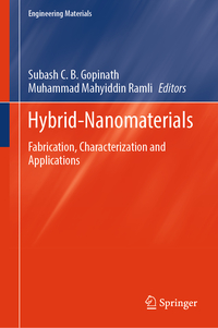 Vorderes Coverbild Hybrid-Nanomaterials