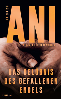 Vorderes Coverbild Das Gelöbnis des gefallenen Engels