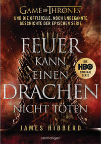 Vorderes Coverbild Feuer kann einen Drachen nicht töten