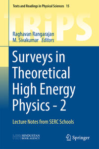 Vorderes Coverbild Surveys in Theoretical High Energy Physics - 2