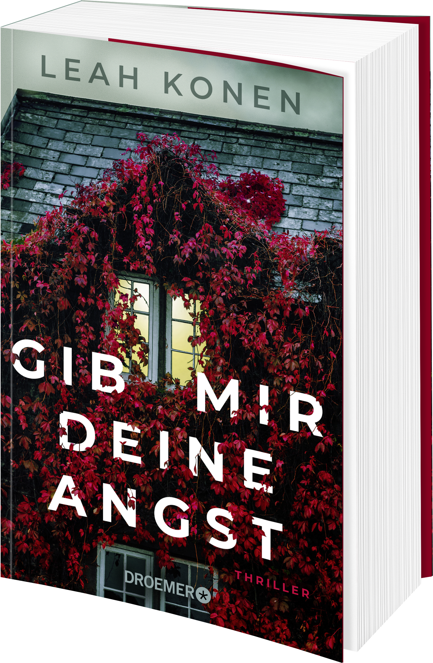Anderes Coverbild Gib mir deine Angst