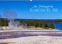 Vorderes Coverbild Im Farbenspiel des Yellowstone Natl. Park (Wandkalender immerwährend DIN A2 quer)