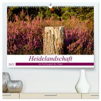 Vorderes Coverbild Heidelandschaft im Farbenspiel der Natur (hochwertiger Premium Wandkalender 2025 DIN A2 quer), Kunstdruck in Hochglanz