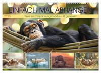 Vorderes Coverbild Einfach mal abhängen (Wandkalender 2025 DIN A3 quer), CALVENDO Monatskalender