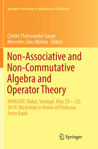 Vorderes Coverbild Non-Associative and Non-Commutative Algebra and Operator Theory