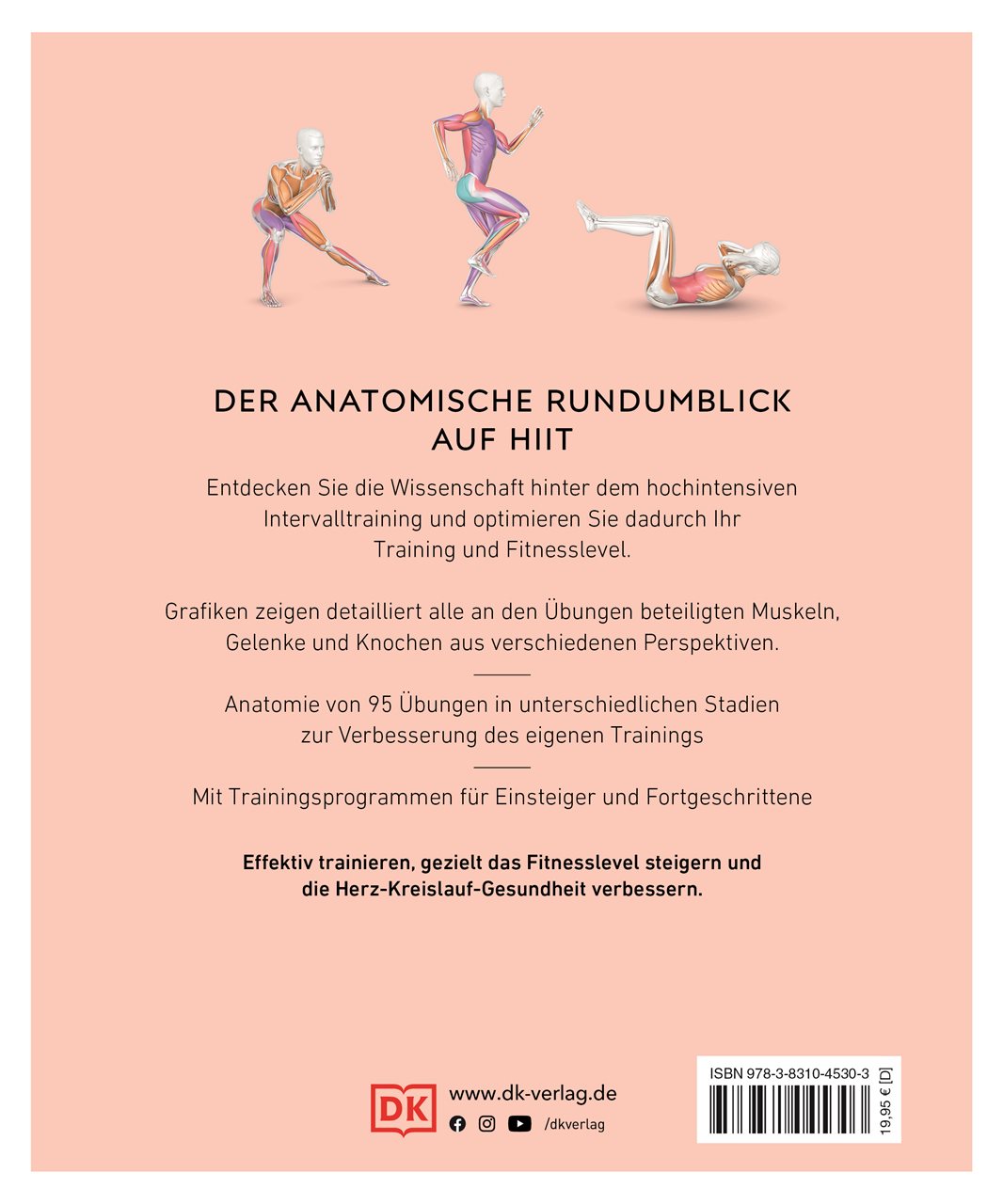 Rückseitencover HIIT - Die Anatomie verstehen
