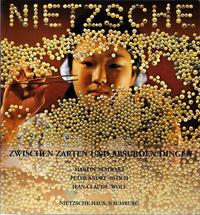 Vorderes Coverbild Nietzsche zwischen zarten und absurden Dingen