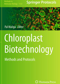 Vorderes Coverbild Chloroplast Biotechnology