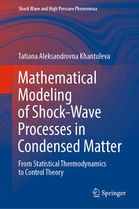 Vorderes Coverbild Mathematical Modeling of Shock-Wave Processes in Condensed Matter