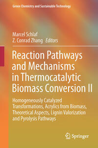 Vorderes Coverbild Reaction Pathways and Mechanisms in Thermocatalytic Biomass Conversion II