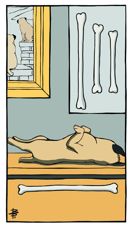 Rückseitencover Original MOPS TAROT