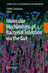 Vorderes Coverbild Molecular Mechanisms of Bacterial Infection via the Gut