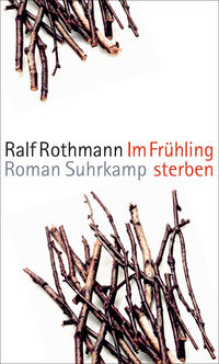 Vorderes Coverbild Im Frühling sterben