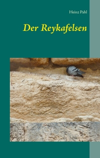 Vorderes Coverbild Der Reykafelsen