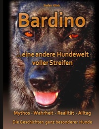 Vorderes Coverbild Bardino