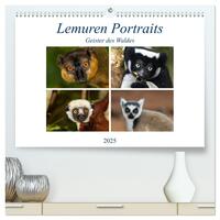 Vorderes Coverbild Lemuren Portraits (hochwertiger Premium Wandkalender 2025 DIN A2 quer), Kunstdruck in Hochglanz