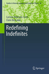 Vorderes Coverbild Redefining Indefinites
