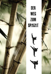 Vorderes Coverbild Der Weg zum Spagat