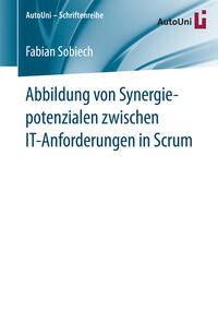 Vorderes Coverbild Abbildung von Synergiepotenzialen zwischen IT-Anforderungen in Scrum