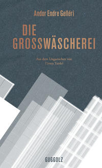 Vorderes Coverbild Die Großwäscherei